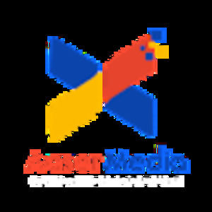 Meet your Posher, Alaa ragab